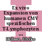 Ex vivo Expansion von humanen CMV spezifischen T-Lymphozyten im Bioreaktor /