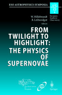 From Twilight to Highlight: The Physics of Supernovae [E-Book] : Proceedings of the ESO/MPA/MPE Workshop Held at Garching, Germany, 29-31 Juli 2002 /