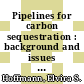 Pipelines for carbon sequestration : background and issues [E-Book] /