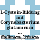 L-Cystein-Bildung mit Corynebacterium glutamicum und optische Sensoren zur zellulären Metabolitanalyse /