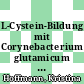 L-Cystein-Bildung mit Corynebacterium glutamicum und optische Sensoren zur zellulären Metabolitanalyse [E-Book] /