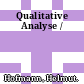 Qualitative Analyse /