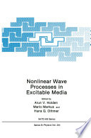 Nonlinear Wave Processes in Excitable Media [E-Book] /