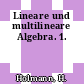 Lineare und multilineare Algebra. 1.