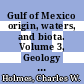 Gulf of Mexico origin, waters, and biota. Volume 3, Geology / [E-Book]