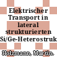 Elektrischer Transport in lateral strukturierten Si/Ge-Heterostrukturen /