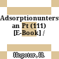 Adsorptionuntersuchungen an Pt (111) [E-Book] /