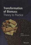 Transformation of biomass : theory to practice /