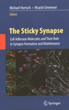 The sticky synapse : cell adhesion molecules and their role in synapse formation and maintenance /