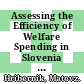 Assessing the Efficiency of Welfare Spending in Slovenia with Data Envelopment Analysis [E-Book] /