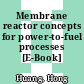 Membrane reactor concepts for power-to-fuel processes [E-Book] /