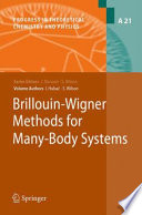 Brillouin-Wigner Methods for Many-Body Systems [E-Book] /