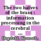The two halves of the brain : information processing in the cerebral hemispheres [E-Book] /