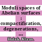 Moduli spaces of Abelian surfaces : compactification, degenerations, and theta functions [E-Book] /
