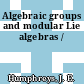 Algebraic groups and modular Lie algebras /