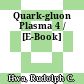 Quark-gluon Plasma 4 / [E-Book]