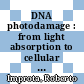 DNA photodamage : from light absorption to cellular responses and skin cancer [E-Book] /