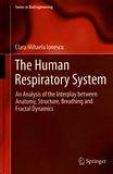 The human respiratory system : an analysis of the interplay between anatomy, structure, breathing and fractal dynamics /
