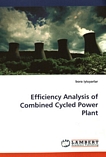 Efficiency analysis of combined cycled power plant /