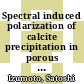 Spectral induced polarization of calcite precipitation in porous media /