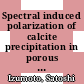 Spectral induced polarization of calcite precipitation in porous media [E-Book] /