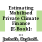 Estimating Mobilised Private Climate Finance [E-Book]: Methodological Approaches, Options and Trade-offs /