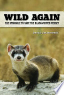 Wild again : the struggle to save the black-footed ferret [E-Book] /