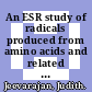 An ESR study of radicals produced from amino acids and related compounds /