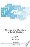 Physics and Chemistry of Small Clusters [E-Book] /