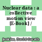 Nuclear data : a collective motion view [E-Book] /