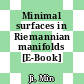 Minimal surfaces in Riemannian manifolds [E-Book] /