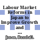 Labour Market Reforms in Japan to Improve Growth and Equity [E-Book] /