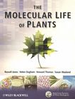 The molecular life of plants /