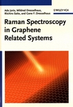 Raman spectroscopy in graphene related systems /