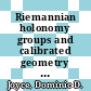 Riemannian holonomy groups and calibrated geometry / [E-Book]