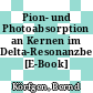 Pion- und Photoabsorption an Kernen im Delta-Resonanzbereich [E-Book] /