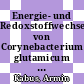 Energie- und Redoxstoffwechsel von Corynebacterium glutamicum [E-Book] /