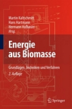 Energie aus Biomasse : Grundlagen, Techniken und Verfahren /