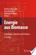 Energie aus Biomasse : Grundlagen, Techniken und Verfahren [E-Book] /