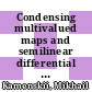 Condensing multivalued maps and semilinear differential inclusions in Banach spaces / [E-Book]