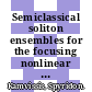 Semiclassical soliton ensembles for the focusing nonlinear Schrodinger equation / [E-Book]