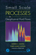 Small scale processes in geophysical fluid flows /