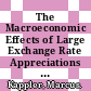The Macroeconomic Effects of Large Exchange Rate Appreciations [E-Book] /