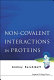 Non-covalent interactions in proteins /
