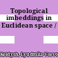 Topological imbeddings in Euclidean space /