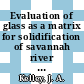 Evaluation of glass as a matrix for solidification of savannah river plant waste : nonradioactive and tracer studies : [E-Book]