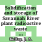 Solidification and storage of Savannah River plant radioactive waste : a paper proposed for presentation to the AICHE 88th annual meeting Los Angeles, California November 16 - 20, 1975 [E-Book] /