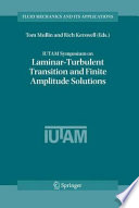 IUTAM Symposium on Laminar-Turbulent Transition and Finite Amplitude Solutions [E-Book] /
