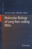 Molecular biology of long non-coding RNAs /