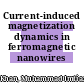 Current-induced magnetization dynamics in ferromagnetic nanowires /